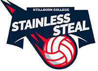 STAINLESS STEAL team badge